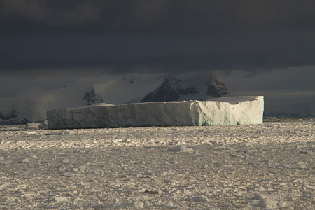 AntL_2012-4645